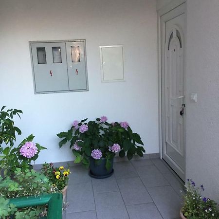 Apartmán Masa Šibenik Exteriér fotografie
